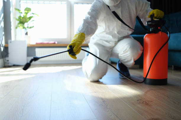 Reliable Sewage Cleanup contractor in Sanborn, NY by Trauma Clean Pros